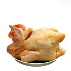 山水农场龙岗母鸡 3- 3.5 磅左右