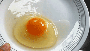 鸡蛋-小.gif
